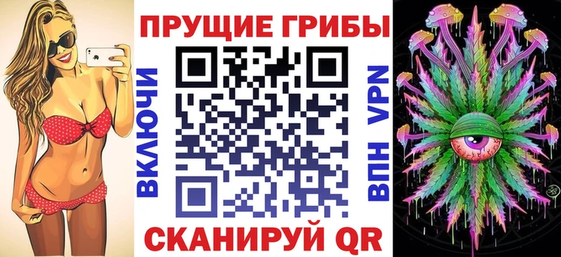 MEGA tor  Задонск  Псилоцибиновые грибы GOLDEN TEACHER 